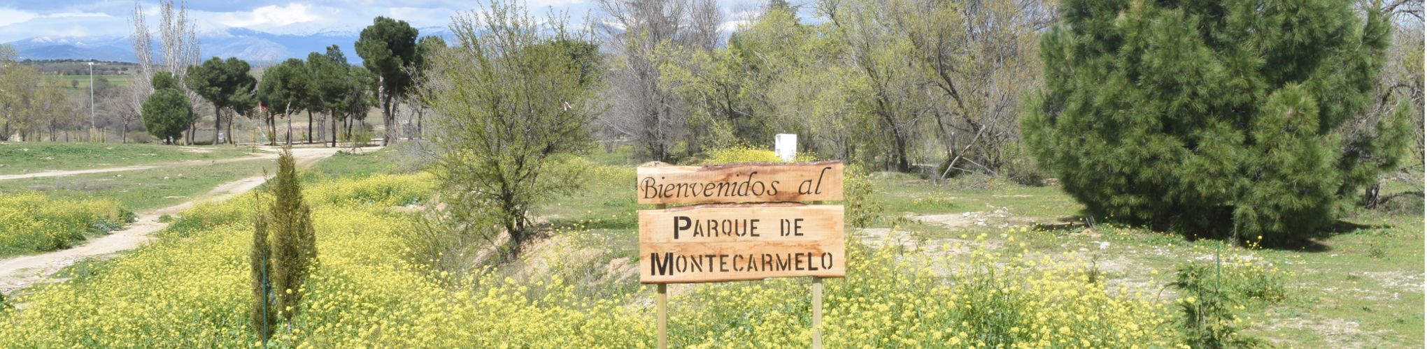 El Parque en su estado original