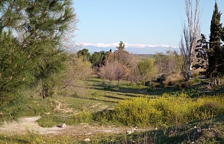 Mesas