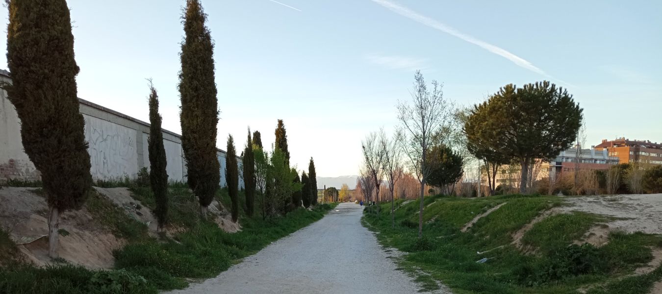 Vista panorámica