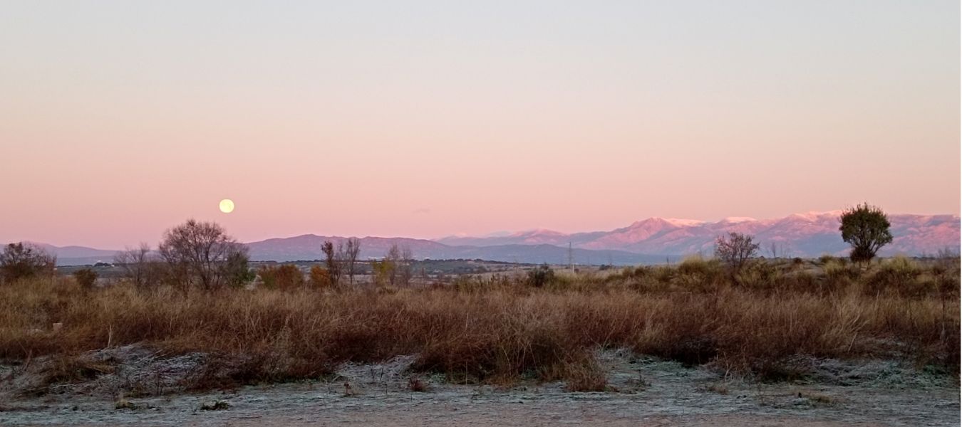 Vista panorámica