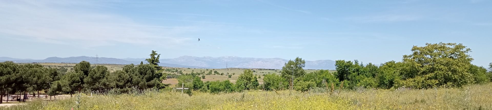 Vista panorámica
