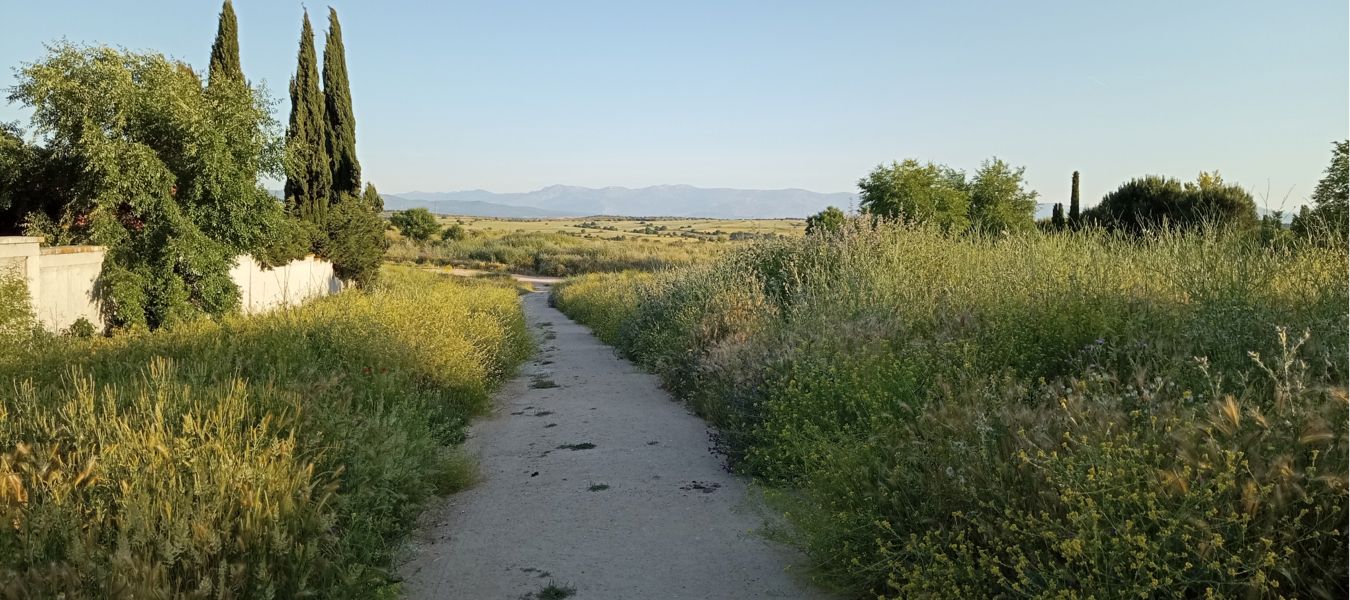Vista panorámica
