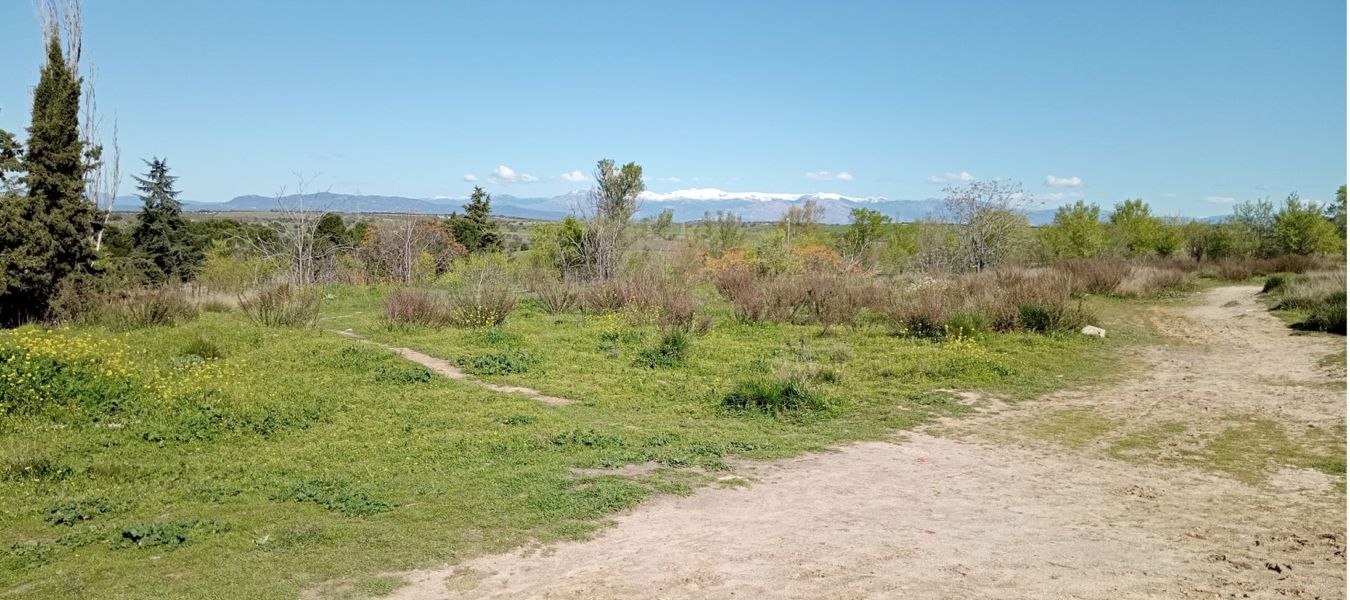 Vista panorámica