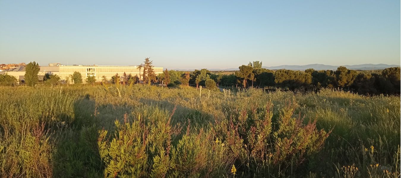 Vista panorámica