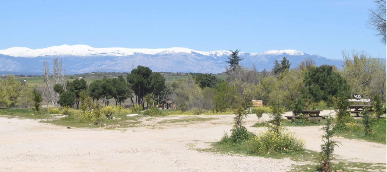 Vista panorámica