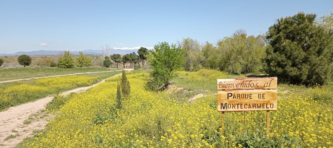 Vista panorámica