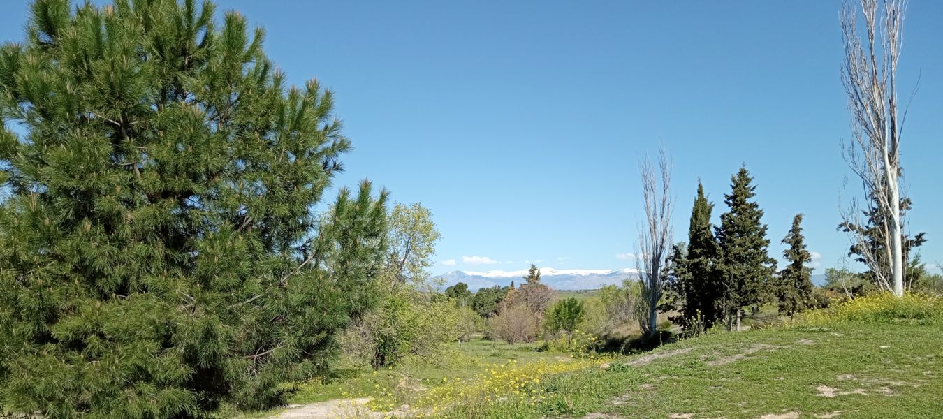 Vista panorámica