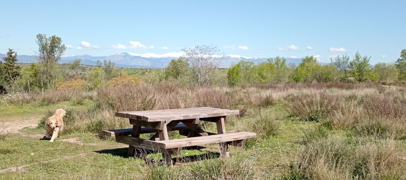 Vista panorámica