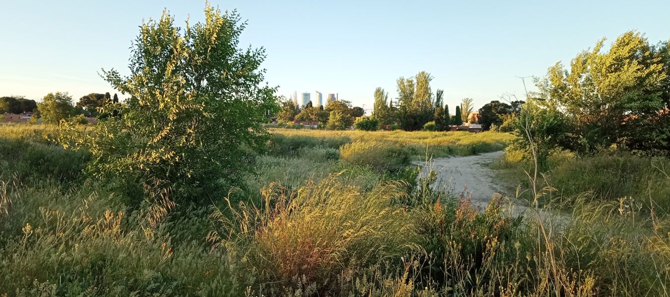 Vista panorámica