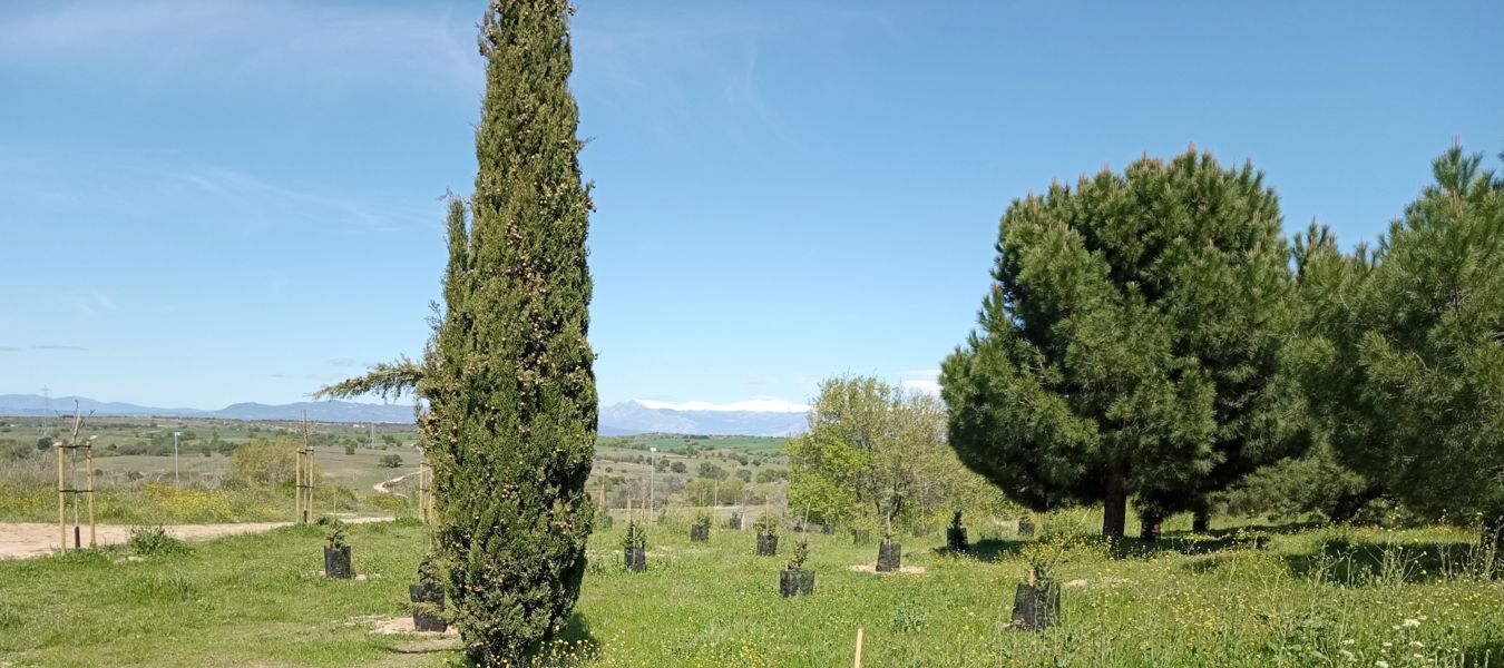 Vista panorámica