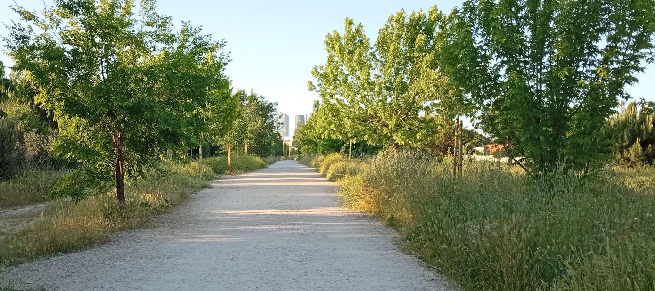 Vista panorámica